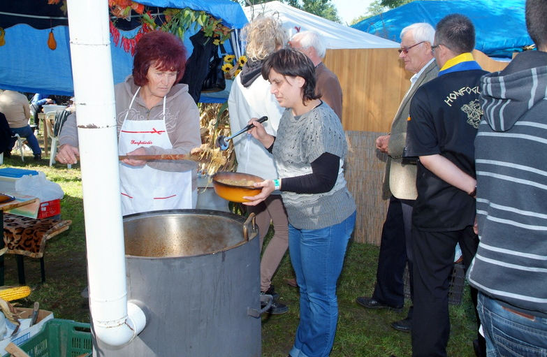 Hadházi Káposztás Napok program