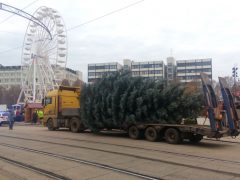 Debrecen karácsonyfája