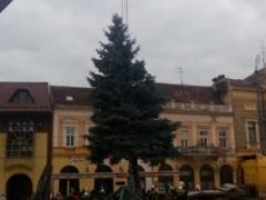 Debrecen karácsonyfája