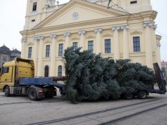 Debrecen karácsonyfája