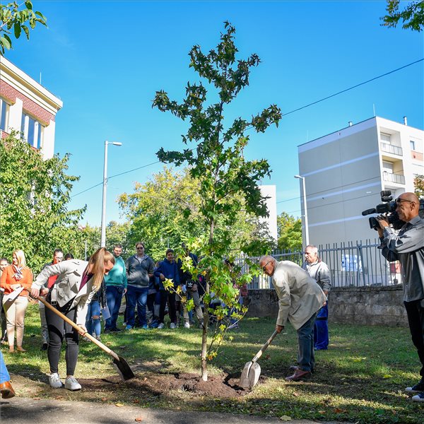 Faültetési akciót indított a görögkatolikus metropólia