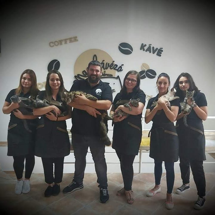 Macskávézó Debrecen