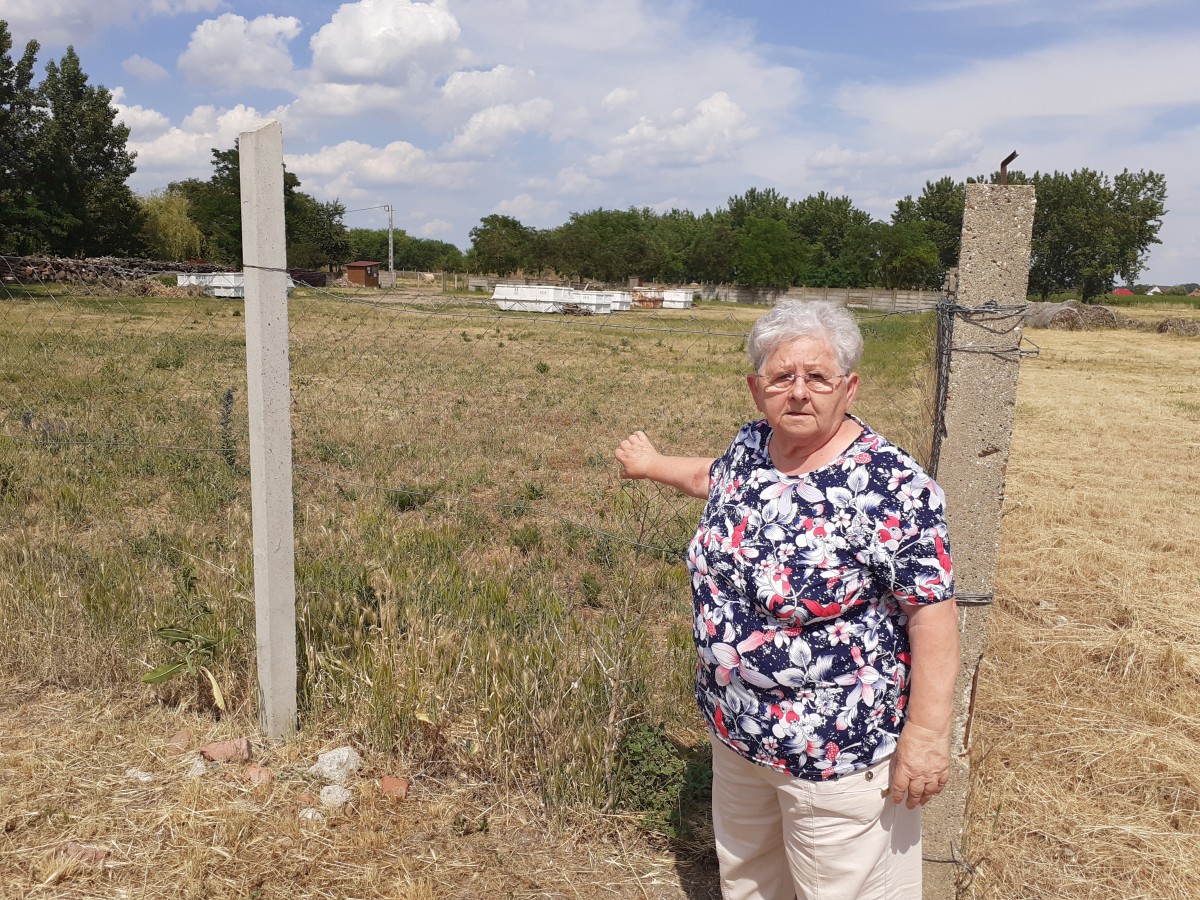 Ebesi birtokvita, Boruzs család
