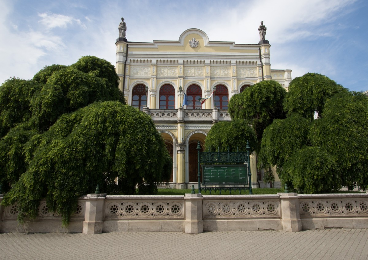 Debreceni japánakác - az év fája