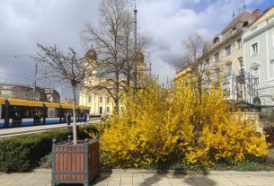 Virágos Debrecen