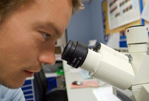 Kutató, mikroszkóp