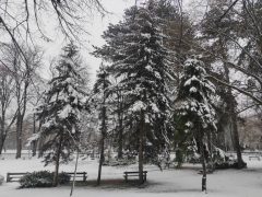 Tél a Nagyerdőn Debrecenben