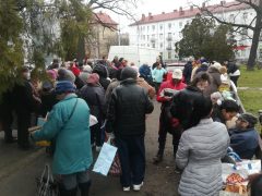 Morzsaparti tündérkert pizzéria