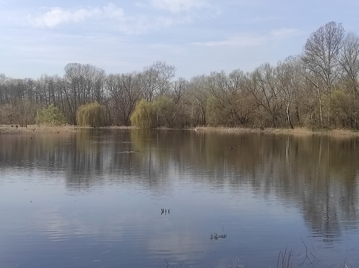 Vekeri-tó Debrecen 2023