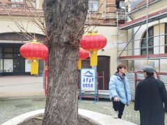 Kínai nap Debrecenben