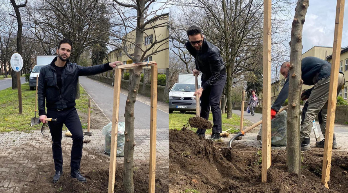 Barcsa Lajos napszemüvegben ültet fát a Bartók Béla úton Debrecenben