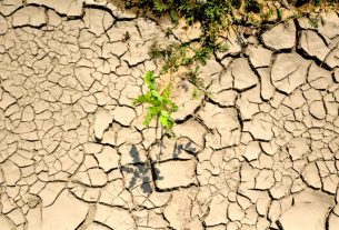 Aszály, száraz talaj