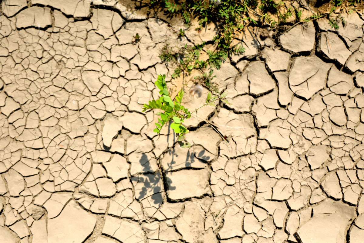 Aszály, száraz talaj