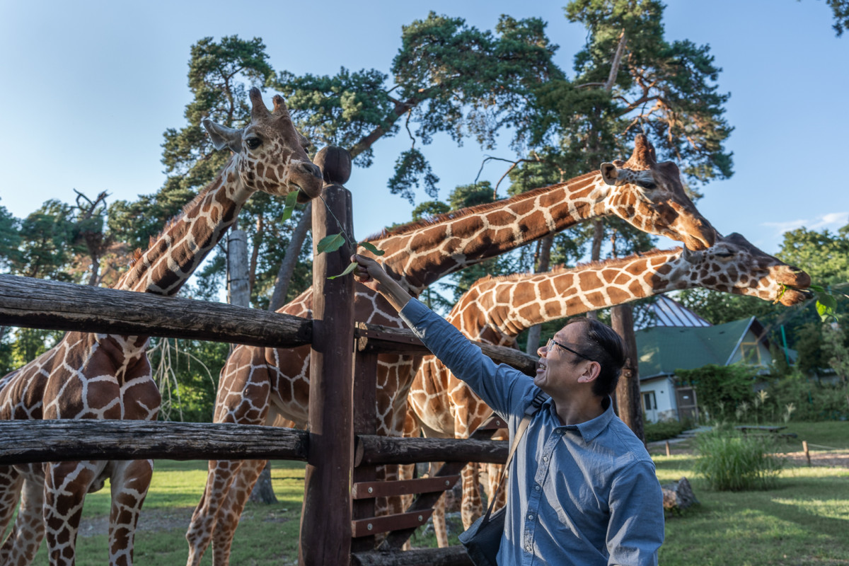 Kínaiak debreceni állatkert