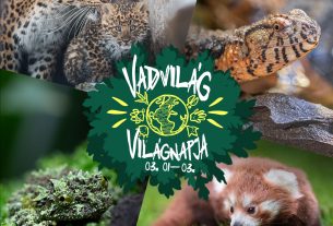 Tematikus programokkal ünnepli a vadvilág világnapját a debreceni állatkert