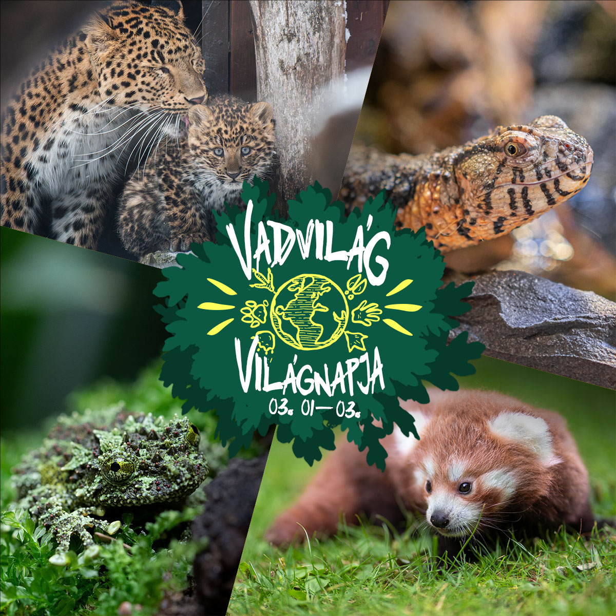 Tematikus programokkal ünnepli a vadvilág világnapját a debreceni állatkert
