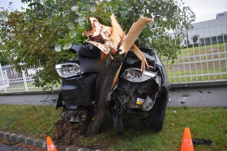 Ittasan hajtott egy fának