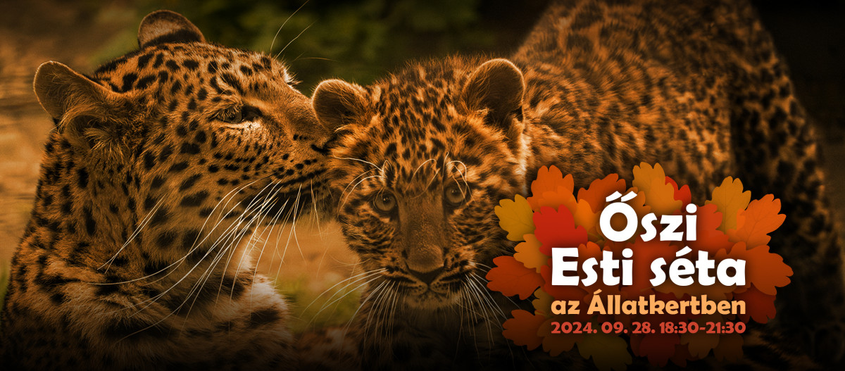 Őszi esti sétára hív a debreceni állatkert