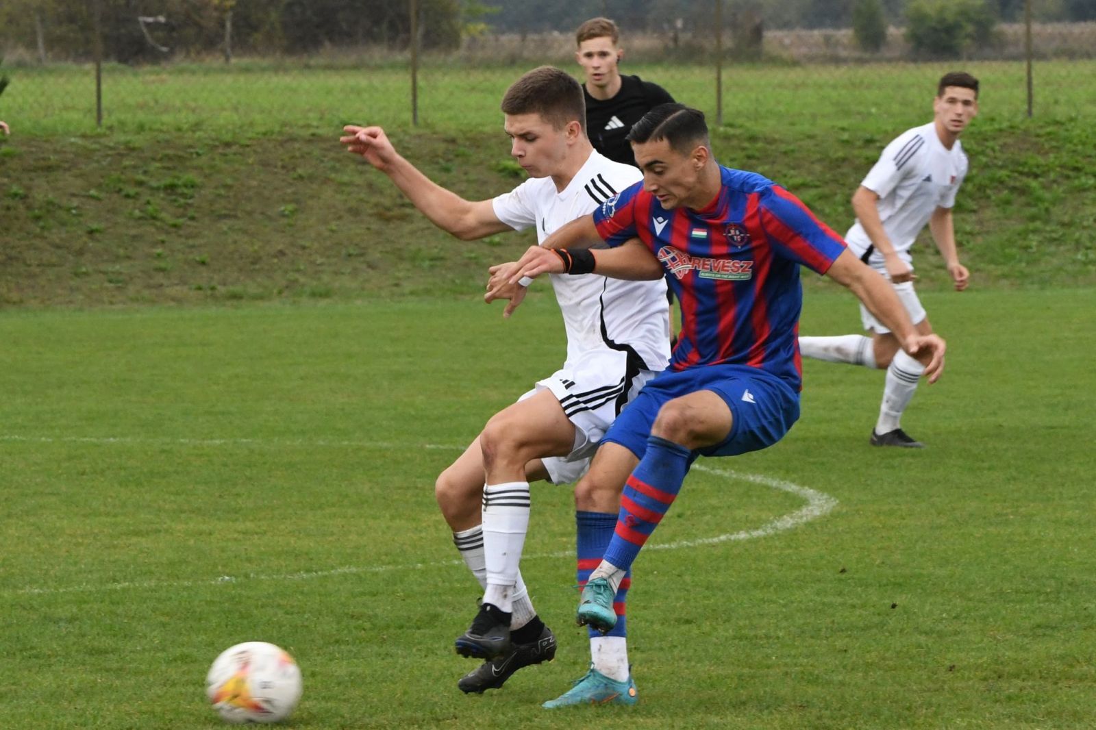 Kikapott a kis Loki a Nyíregyházától