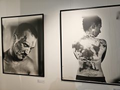 SILVER - megnyílt Varga Tamás fotográfus kiállítása a Bényi Galériában