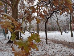 Havazás, havas Debrecen