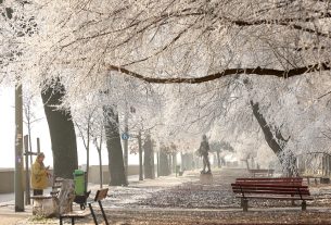 Szeged, zúzmara, tél, időjárás, január, hideg, fagy