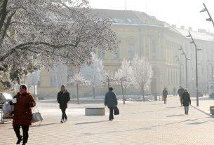 Szeged, zúzmara, tél, időjárás, január, hideg, fagy