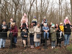 Szeged, Vadaspark, medveles, medve, tél, február, barnamedve, Mici és Ursula, árnyék