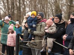 Szeged, Vadaspark, medveles, medve, tél, február, barnamedve, Mici és Ursula, árnyék