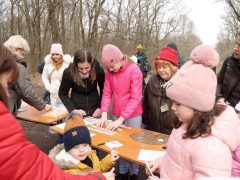 Szeged, Vadaspark, medveles, medve, tél, február, barnamedve, Mici és Ursula, árnyék