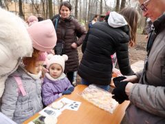 Szeged, Vadaspark, medveles, medve, tél, február, barnamedve, Mici és Ursula, árnyék