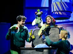 Tükörszem Ida meséi