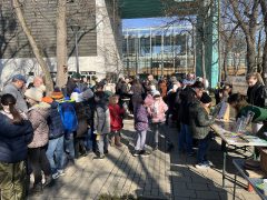 Madárgyűrűzés Debrecenben