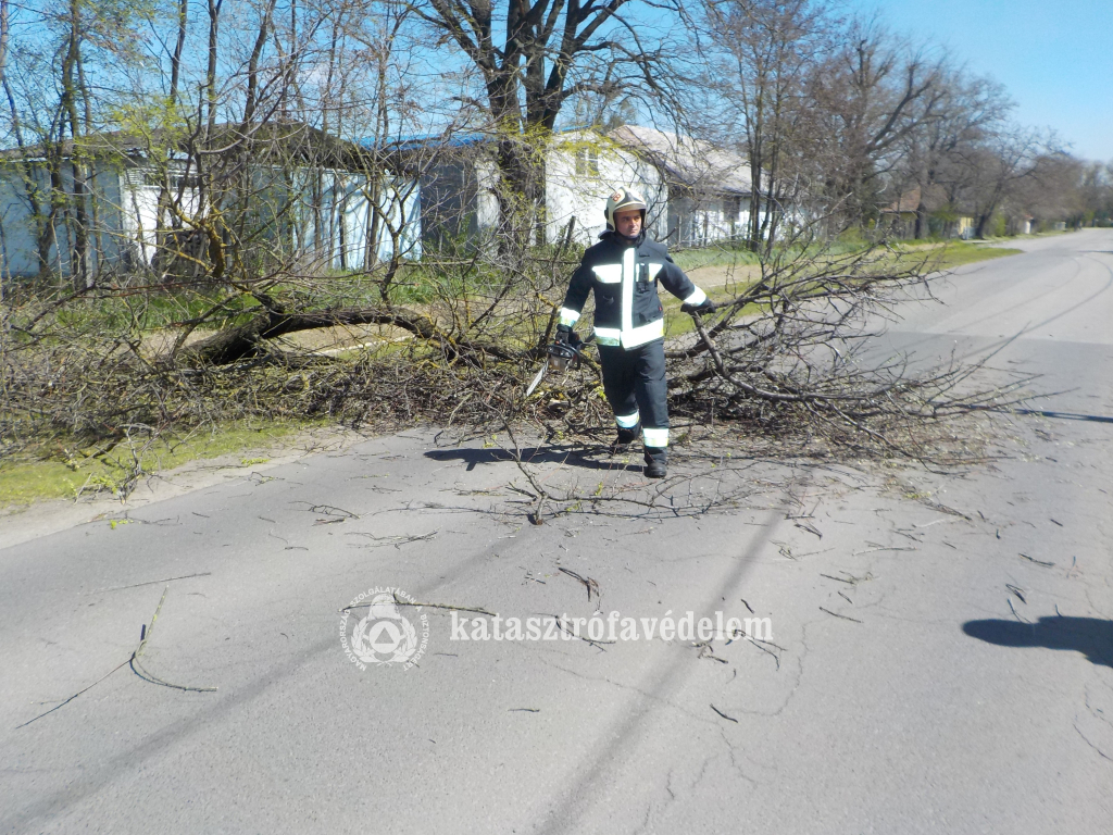 Az erős szél adott munkát a tűzoltóknak Hajdú-Biharban