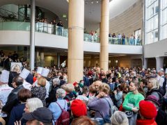 Debrecen város napja