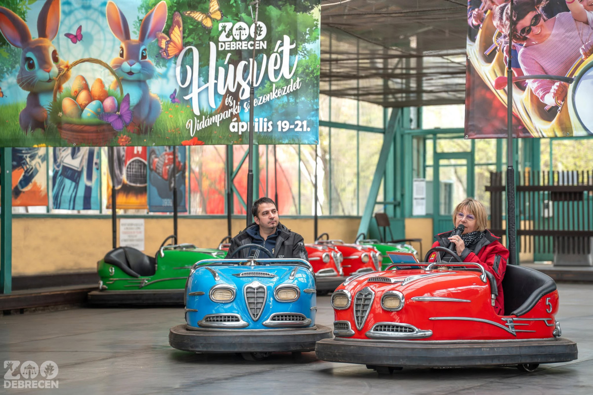 Háromnapos családi esemény lesz a debreceni állatkertben
