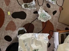 Otthonában termesztette a drogot a polgári férfi