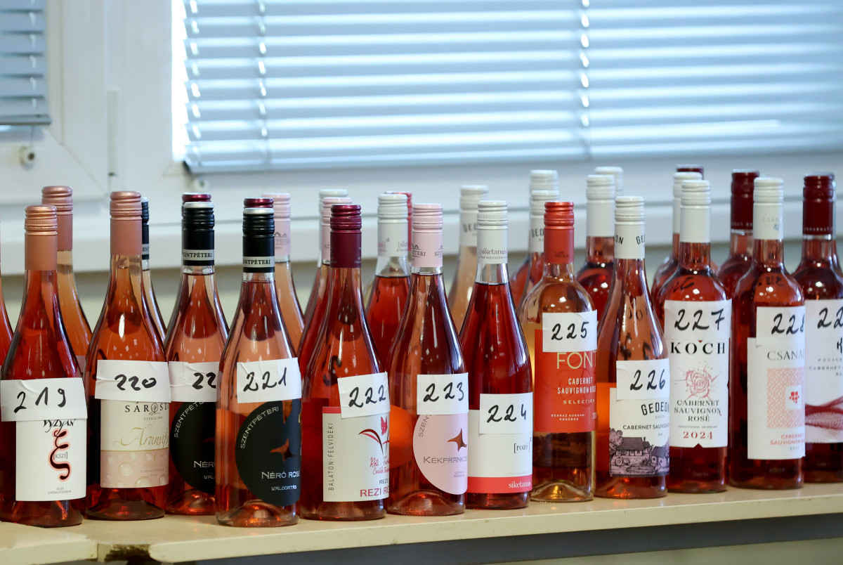 Szeged, Borfesztivál, borverseny, bor, borkóstoló