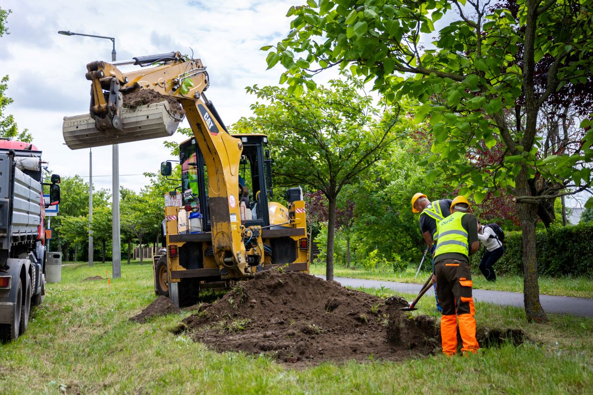 Gyalogos-átkelőhely a Bölcs utca és Csigekert utca kereszteződésében