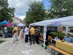 Közös Város Fesztivál Debrecenben