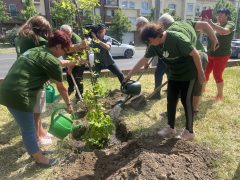 Emlékfát ültettek a Szenvedélyes Juniálison Debrecenben