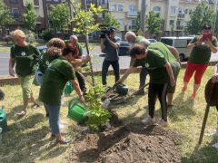 Emlékfát ültettek a Szenvedélyes Juniálison Debrecenben