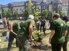 Emlékfát ültettek a Szenvedélyes Juniálison Debrecenben