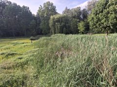 Vekeri-tó víz