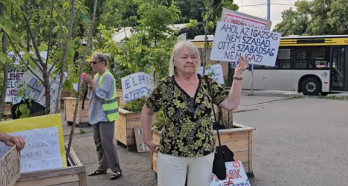 Zebraszerda Debrecenben, a Petőfi téren