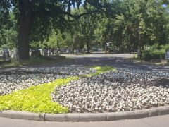 Megszépült a Debreceni Köztemető