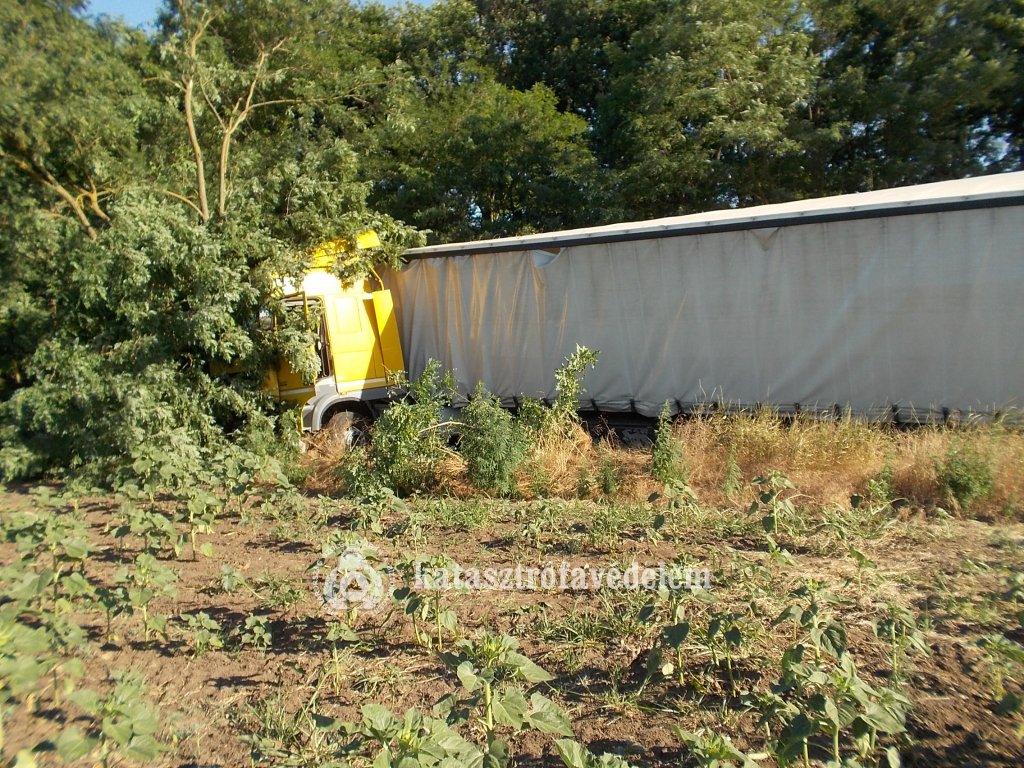Fának hajtott egy kamion Konyár és Derecske között