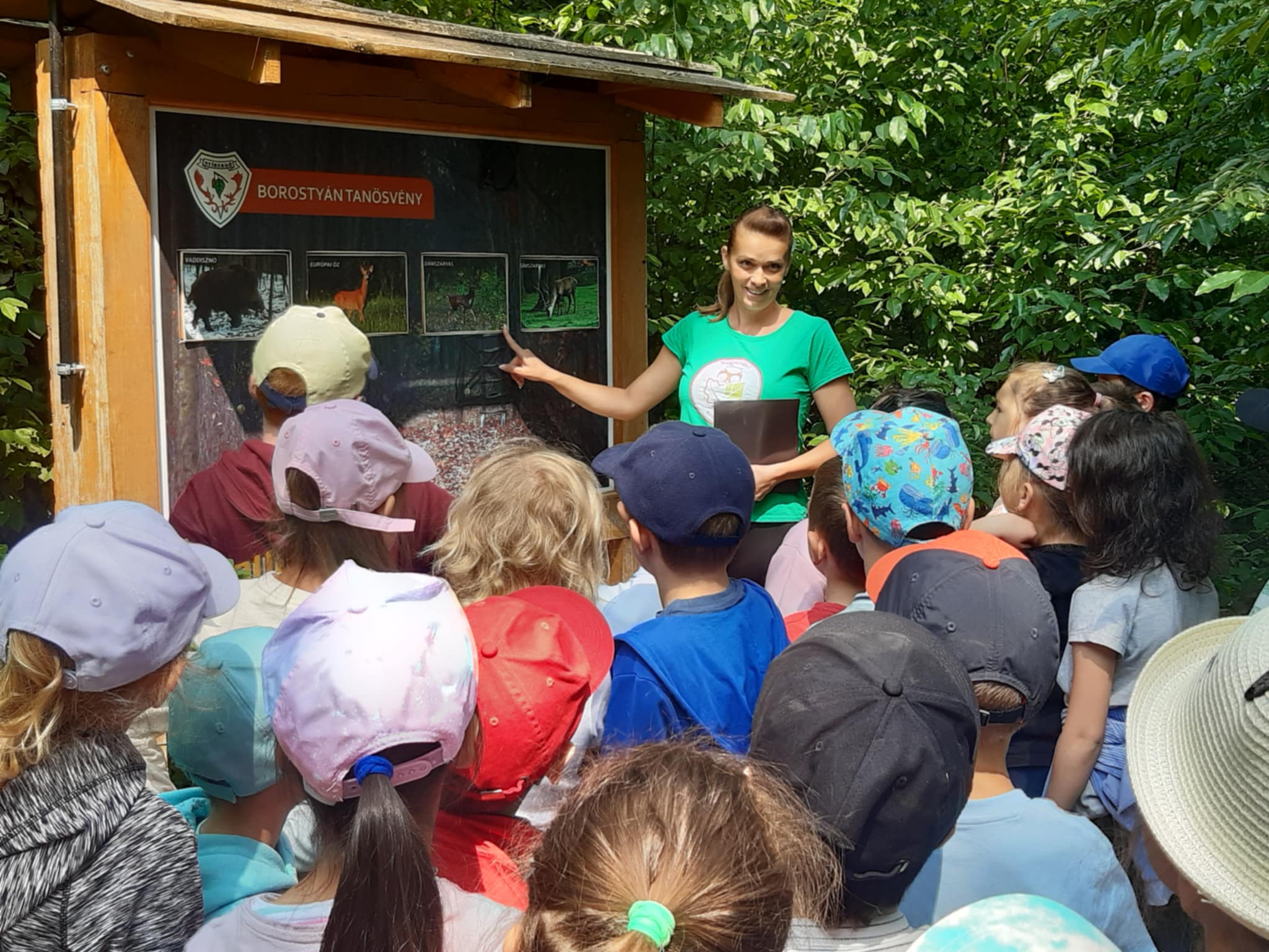 Várja a természetbarát gyerekeket a Nagyerdei Erdészeti Erdei Iskola