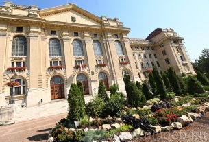 Virágszigetek díszítik a Debreceni Egyetem előtti teret