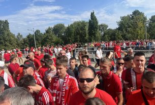 Loki-szurkolók, ultrák